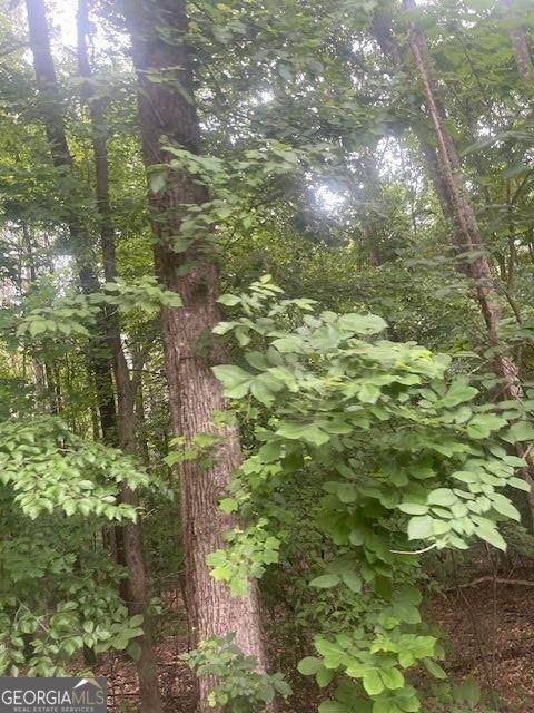 0 Butner Roads - Photo 1