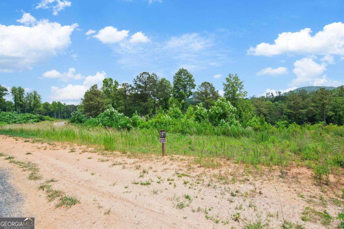 LOT 197 Oak Park Drive - Photo 1