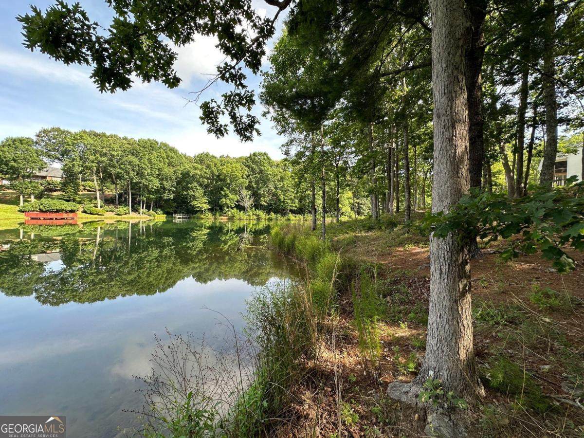 1117 Rome Beauty - Photo 1