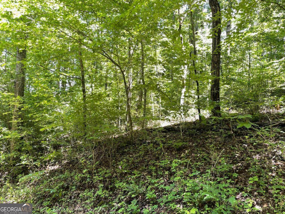 LOT 11 Fodder Creek Mill Drive - Photo 1