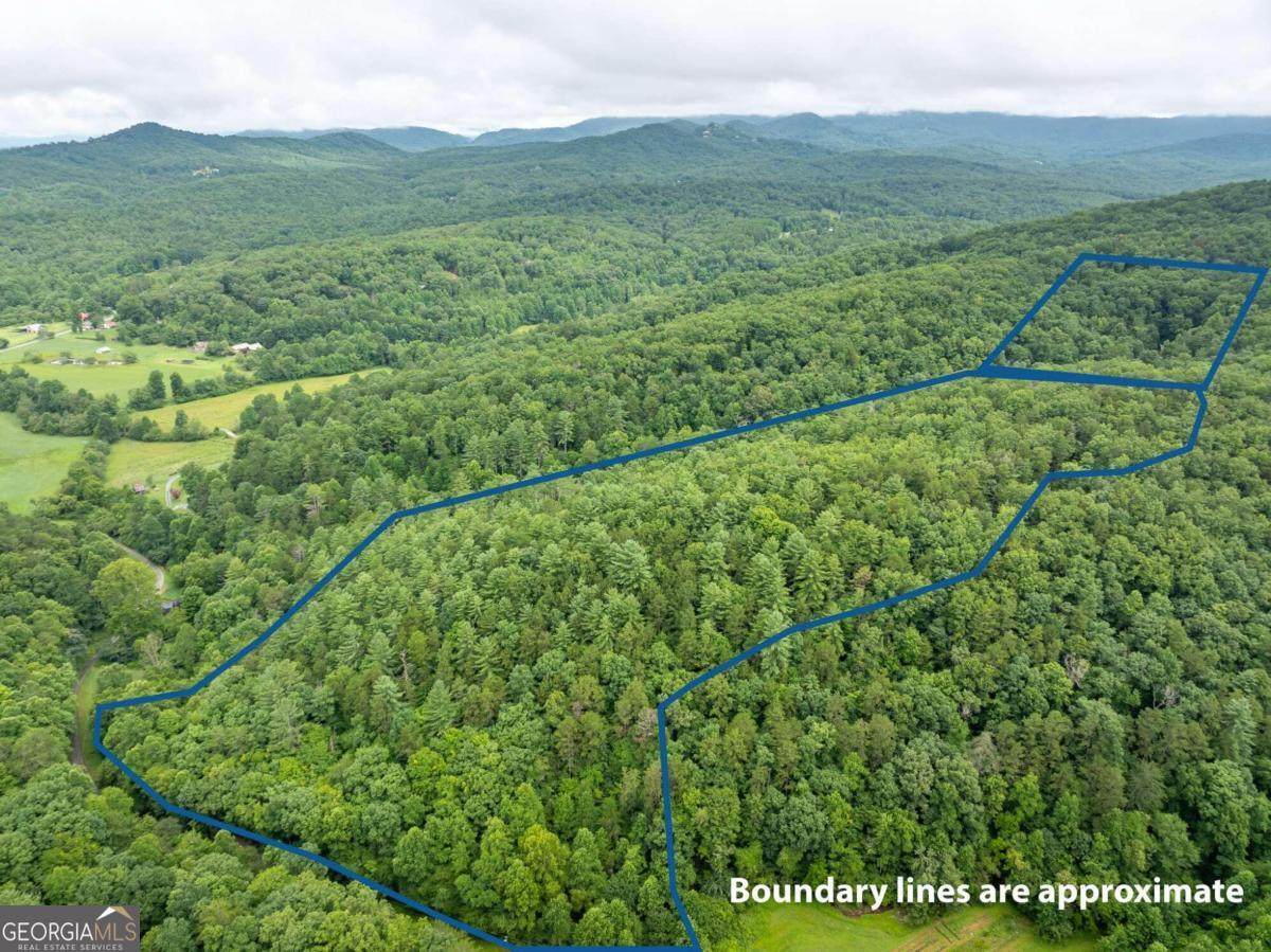 467 Gilliam Trail - Photo 1