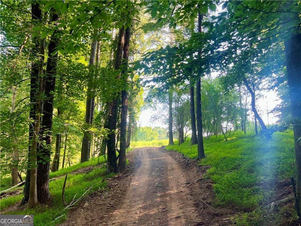 47 AC Jesse Martin Trail - Photo 1