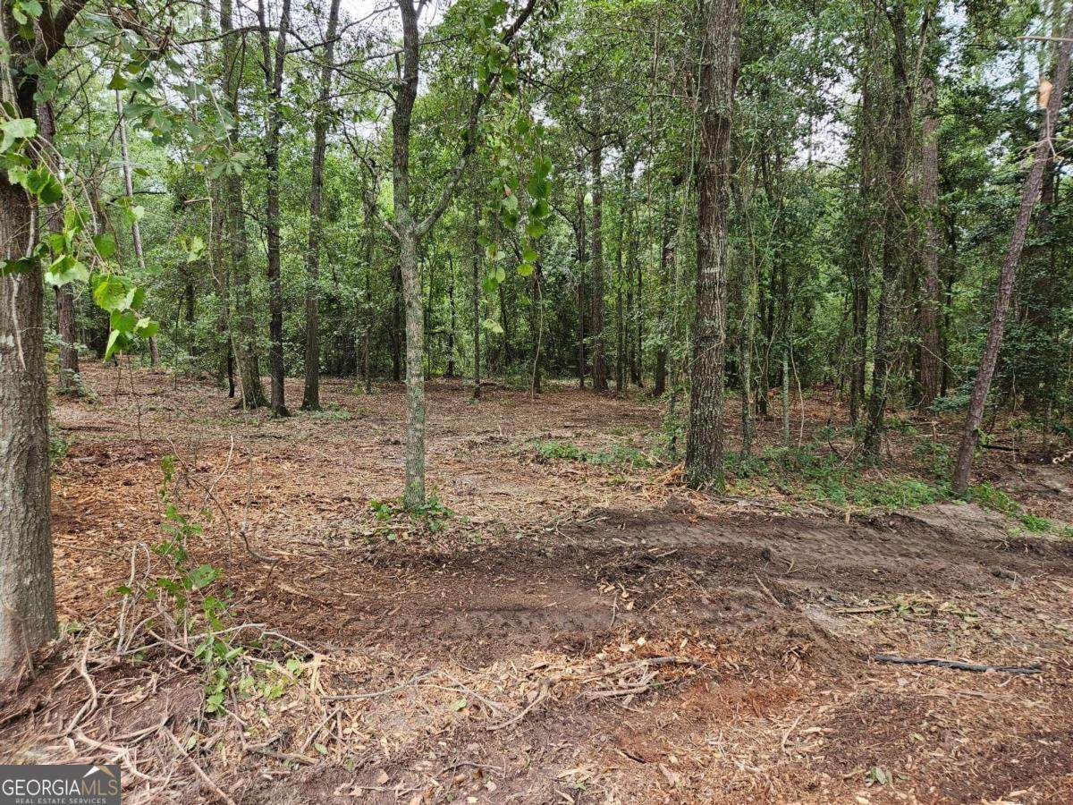 0 U.S. Highway 319 - Photo 1