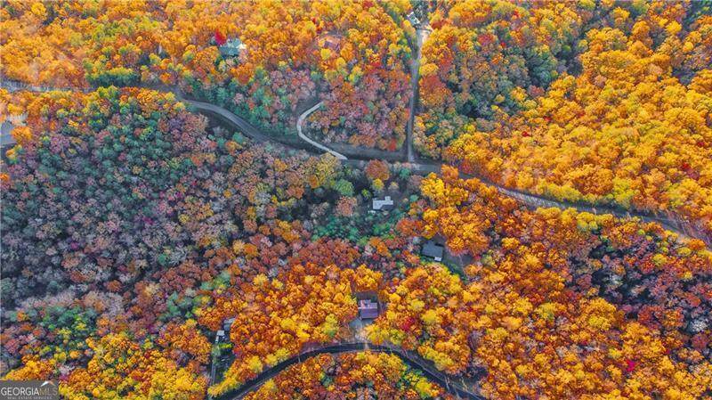 953 Longbranch Drive - Photo 1