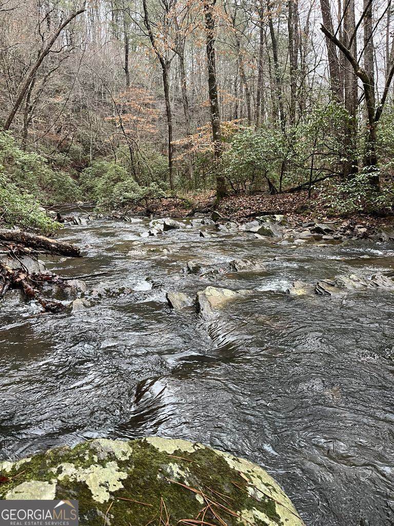 1551 Dorian Court - Photo 1