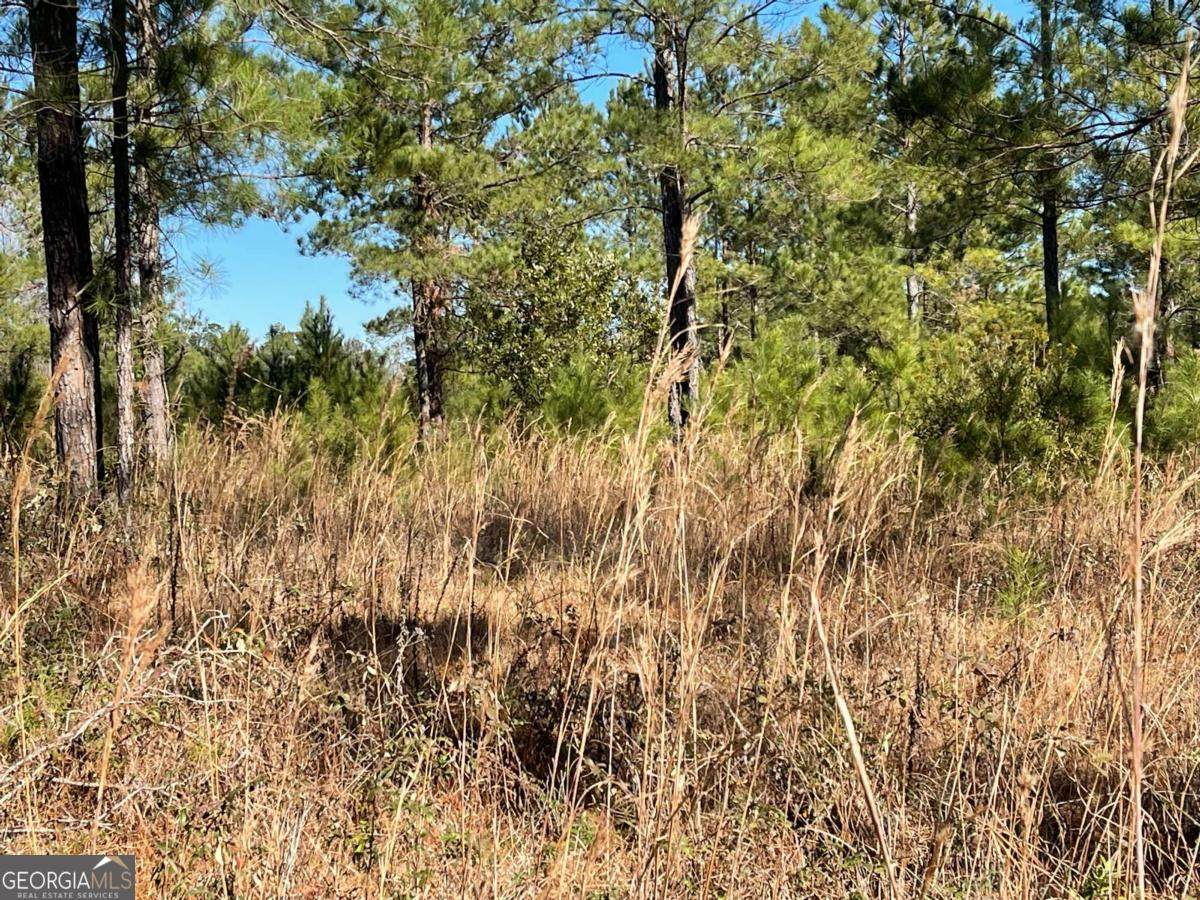 0 Landing Trail - Photo 1