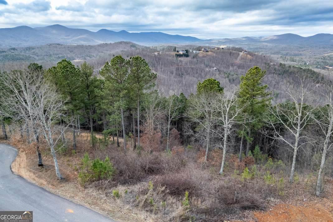 LOT 13 Thirteen Hundred - Photo 1