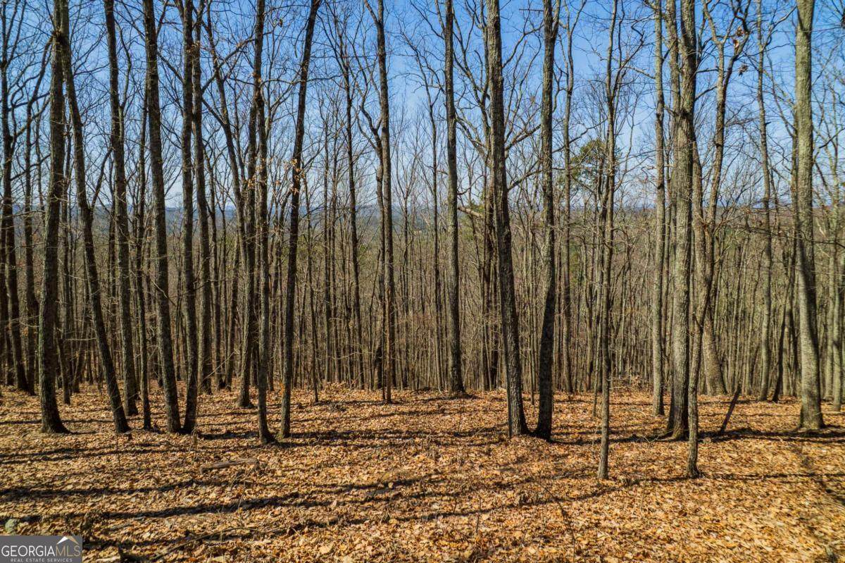 LOT 35 Heatherwood Way - Photo 1