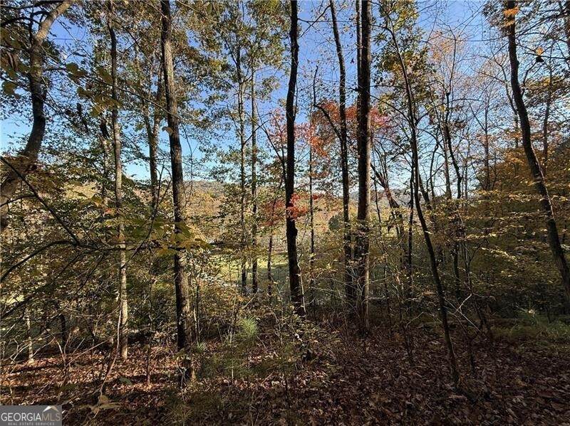 0 Ov Justus Road - Photo 1