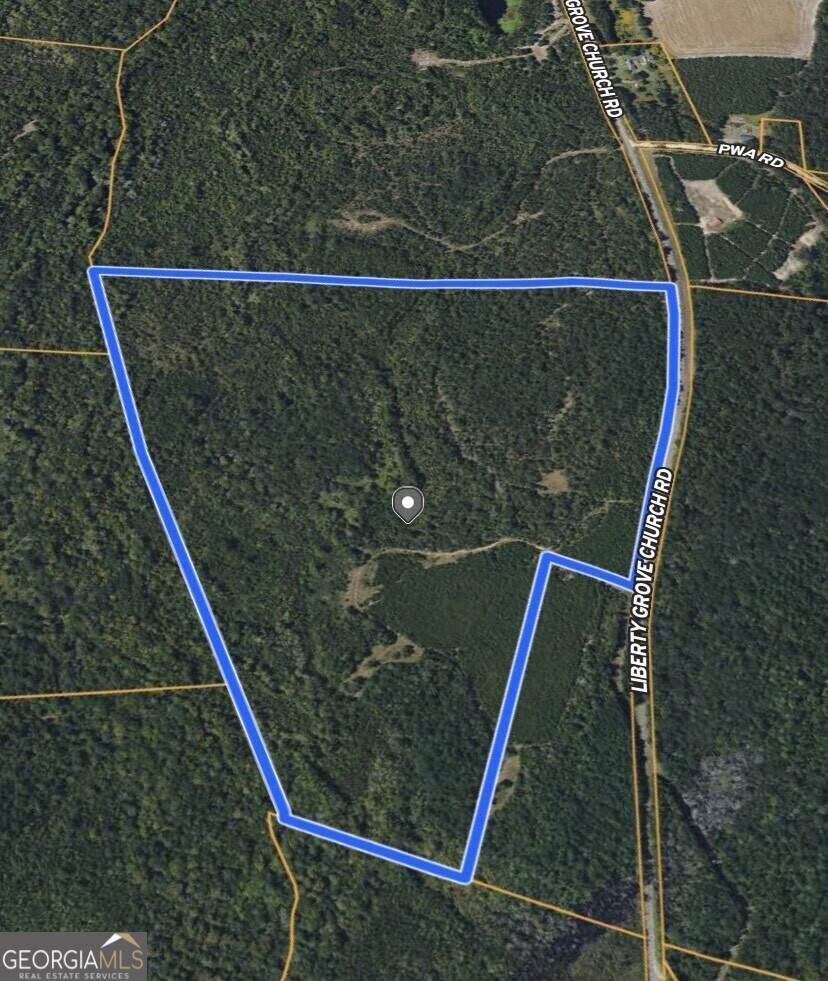 0 Liberty Grove Church Road - Photo 1