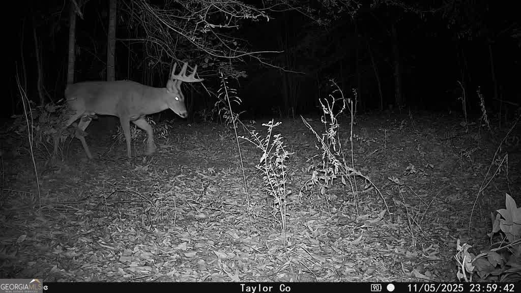 1 Americus Highway - Photo 1