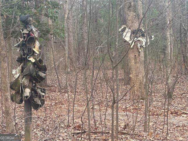 38 &51 Mountain Crest Road - Photo 1