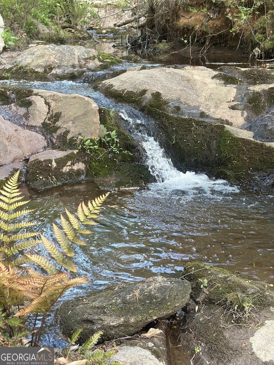 1852 Burwell Road - Photo 1