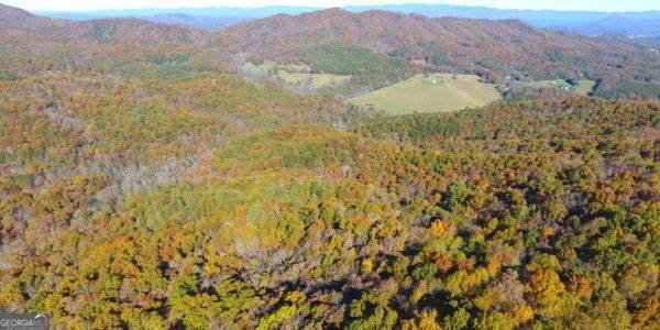 0 Royal Oaks Trail - Photo 1