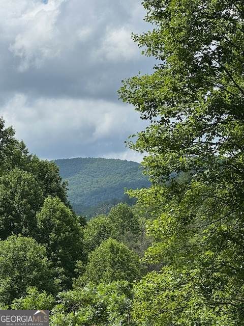 0 Big Creek Road - Photo 1