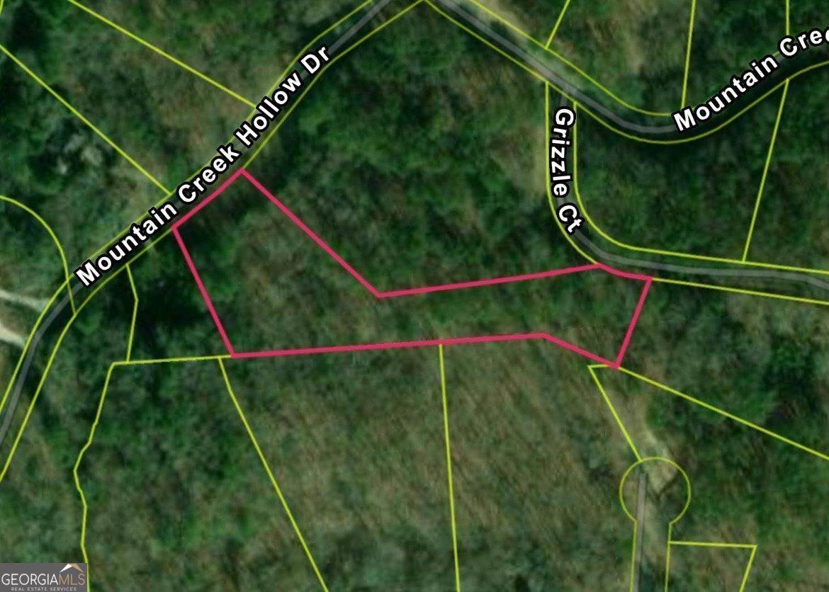 71 Mountain Creek Hollow Drive - Photo 1