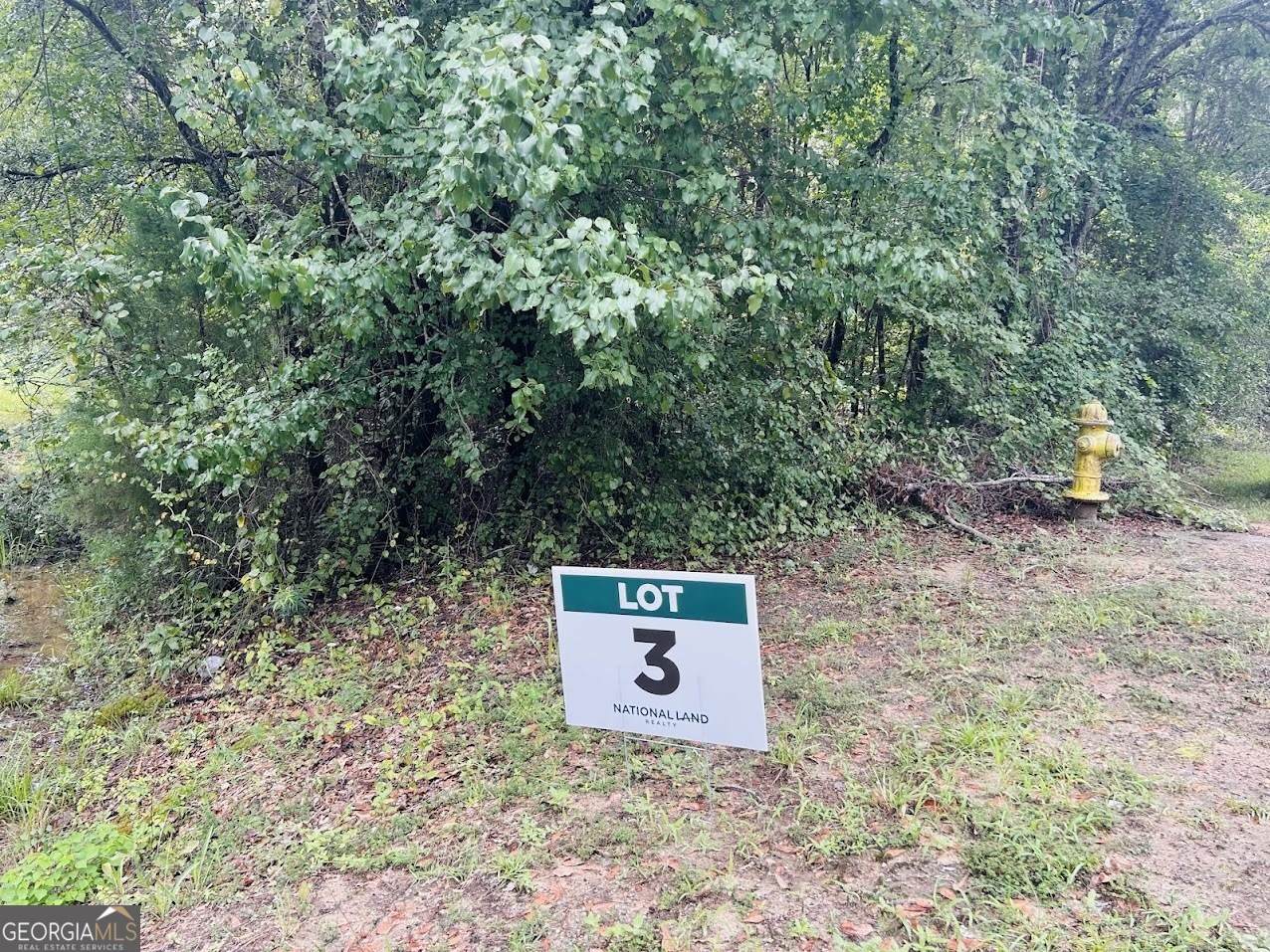 0 Kings Mill Road - Photo 1
