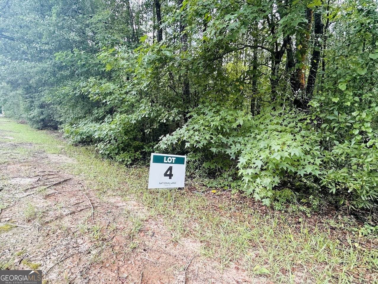 0 Kings Mill Road - Photo 1