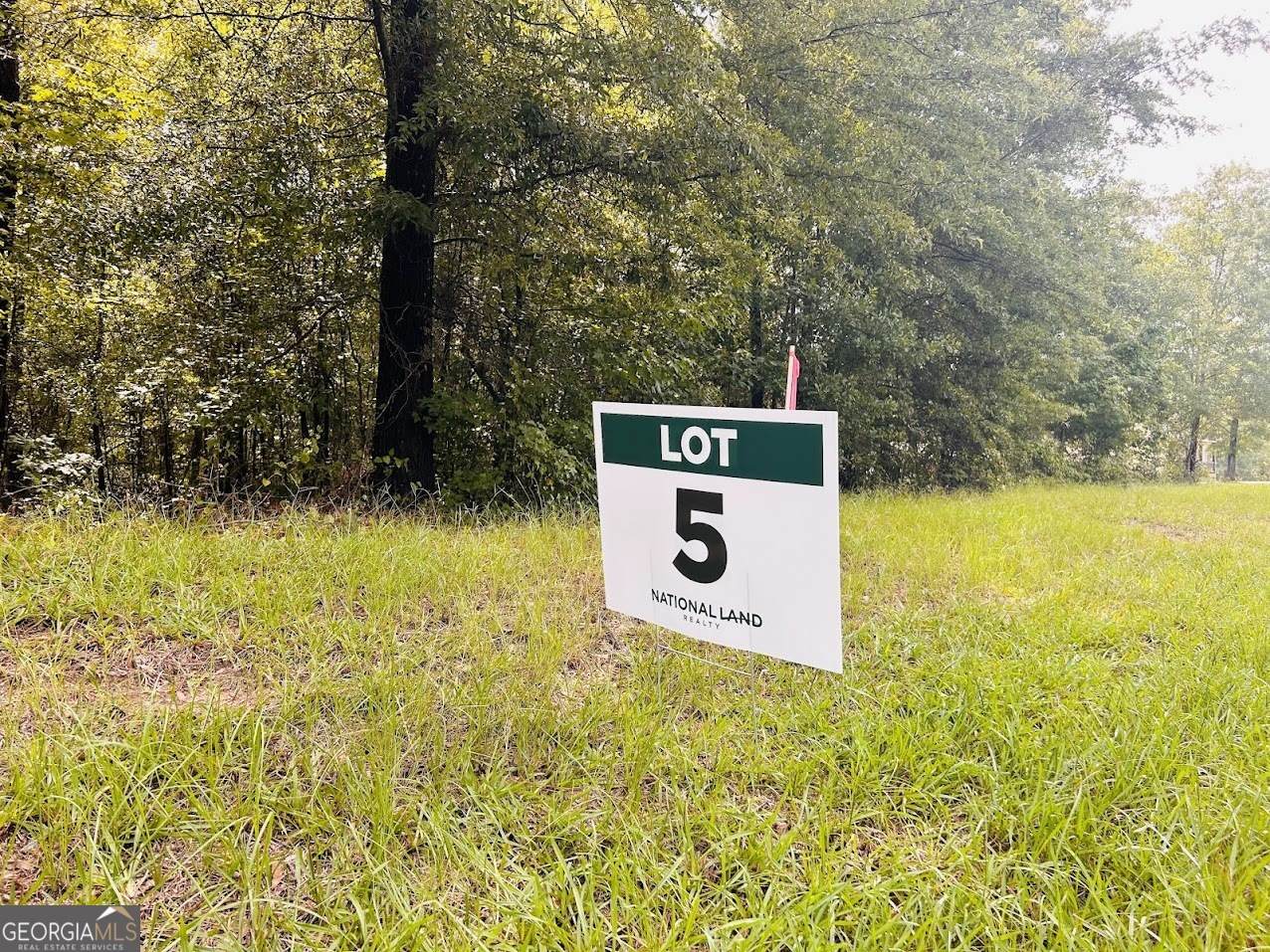 0 Kings Mill Road - Photo 1