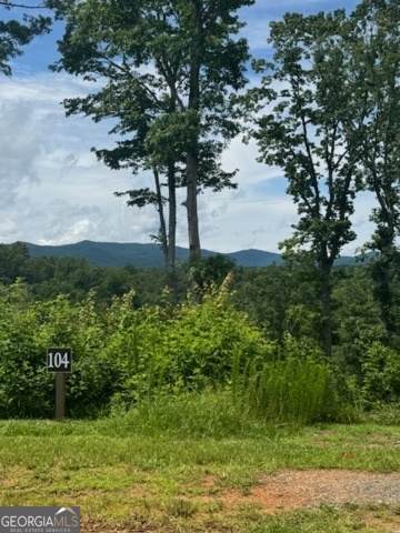 LOT 104 River Knoll Trail - Photo 1