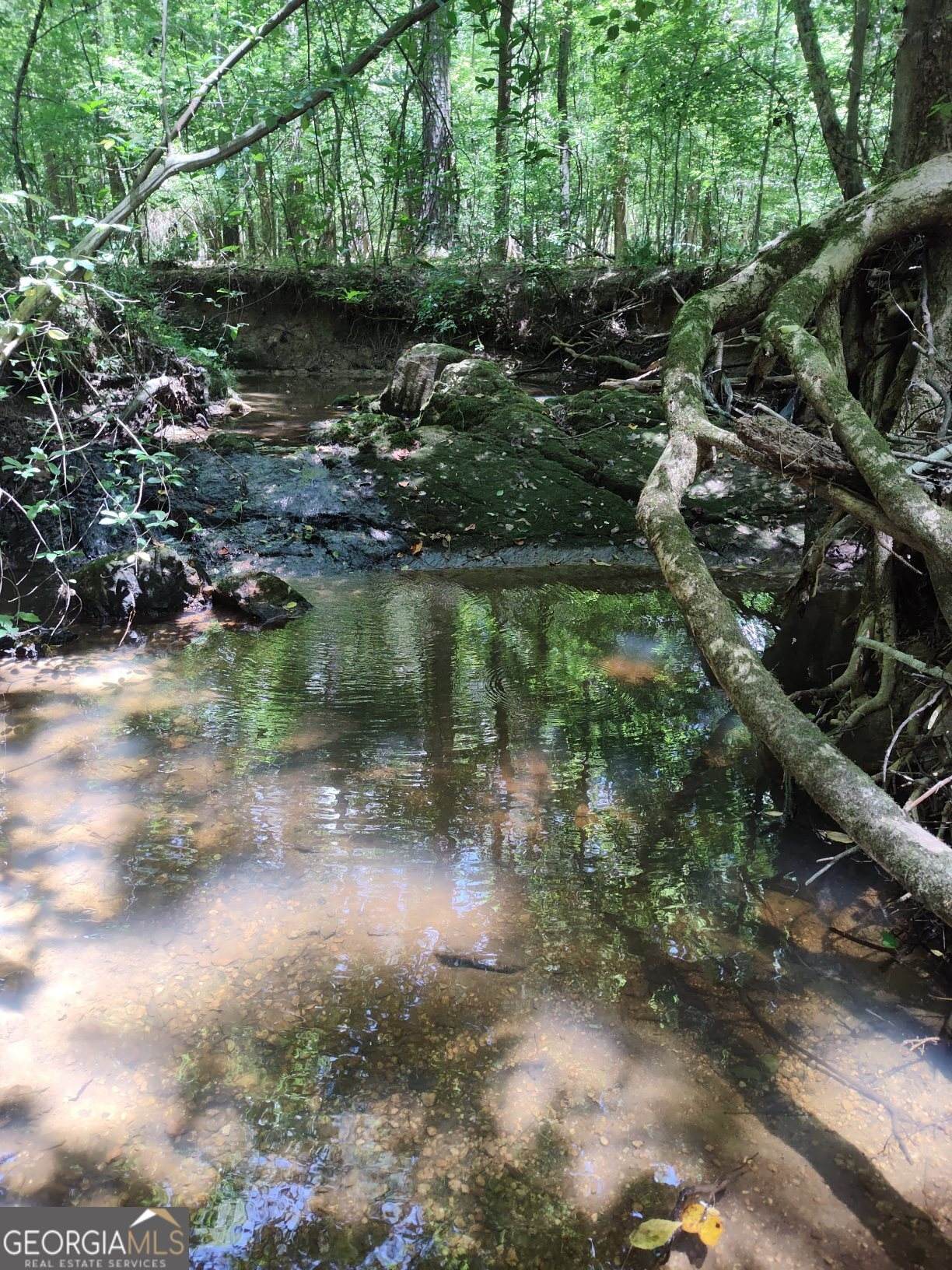 2211 Indian Hill Road - Photo 1