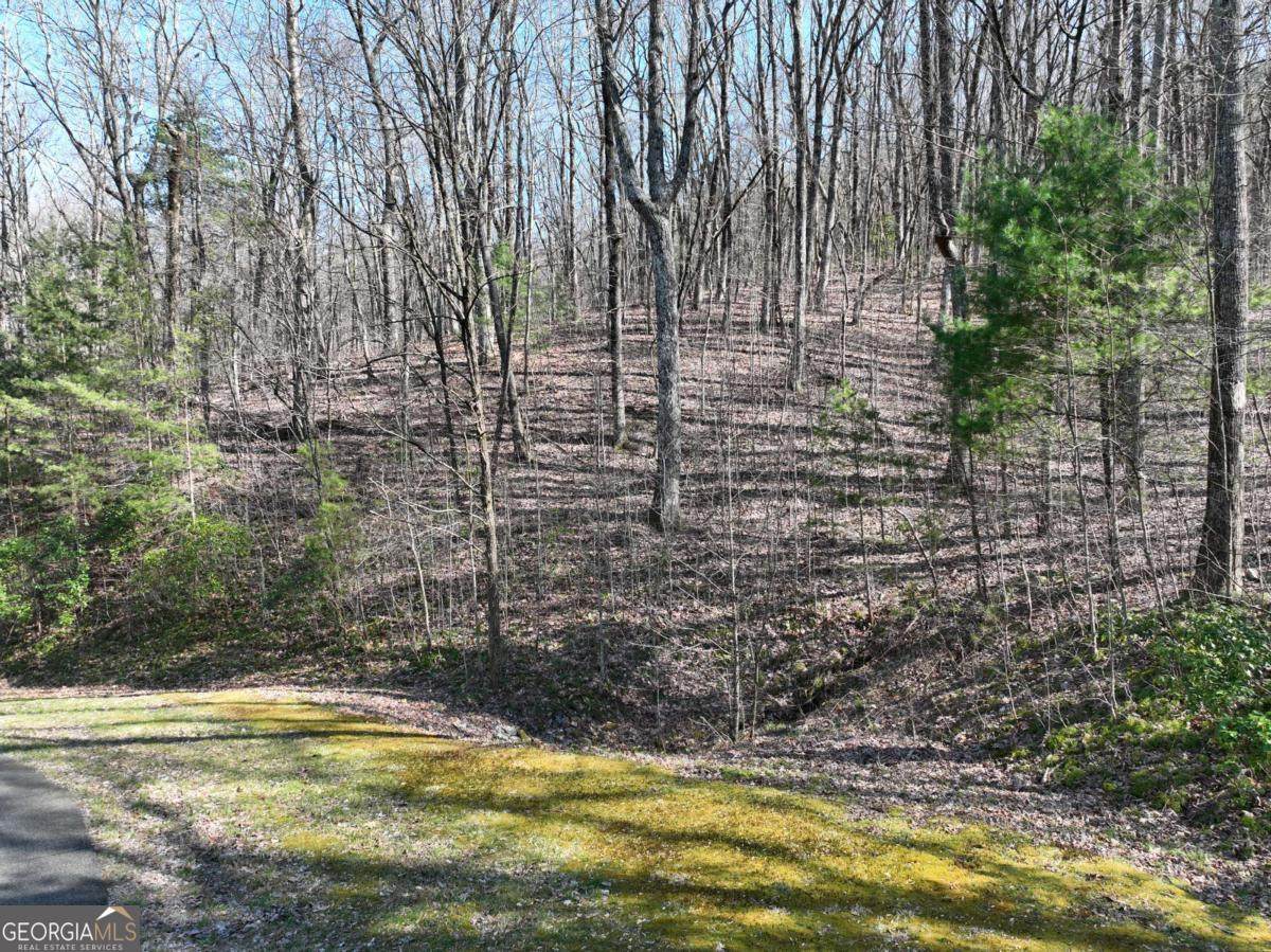 66 St Andrews Way - Photo 1