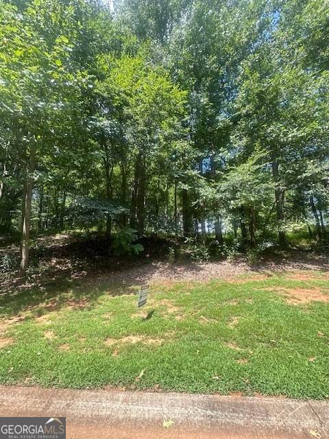 1332 Red Cedar Road - Photo 1