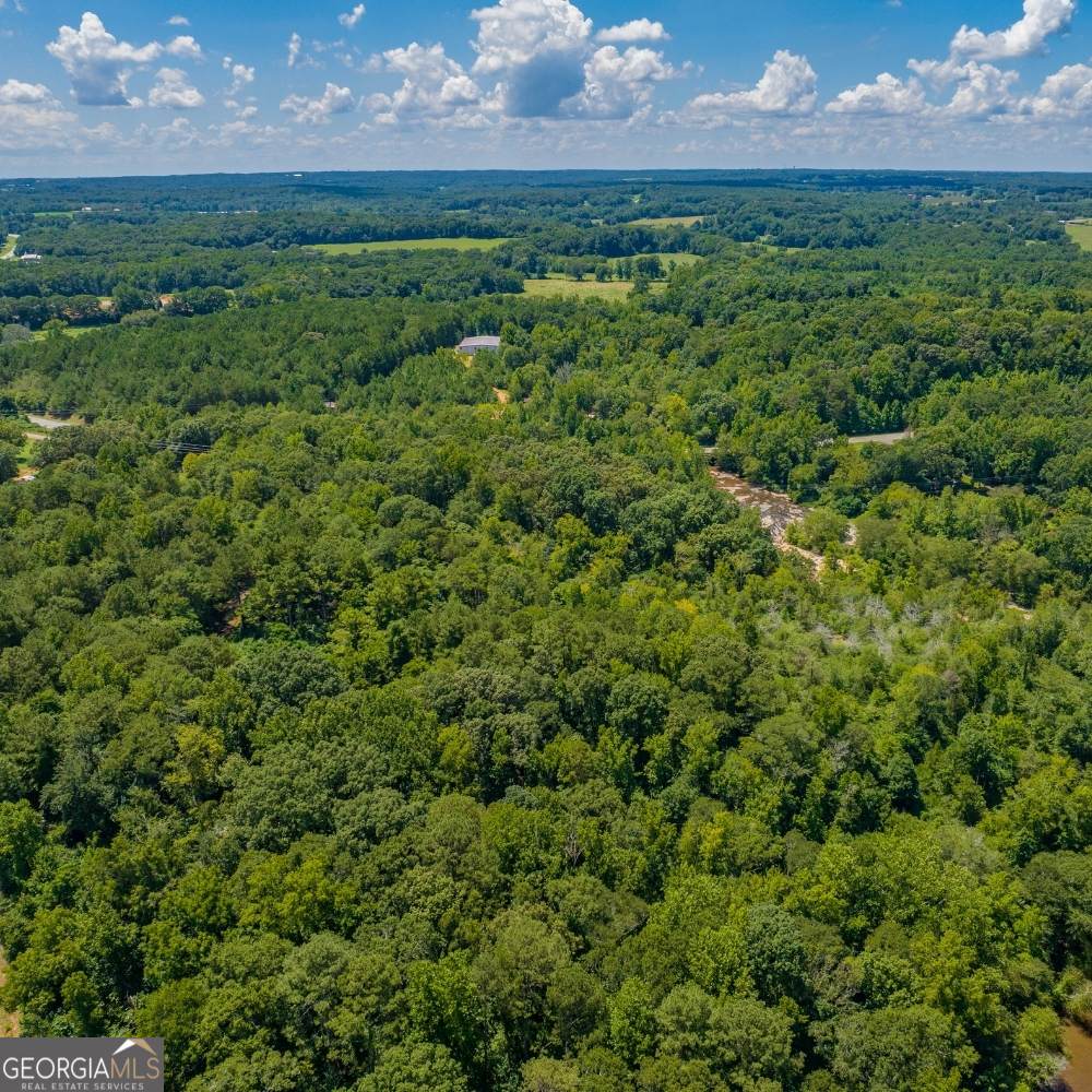 0 Ga Highway 366 - Photo 1