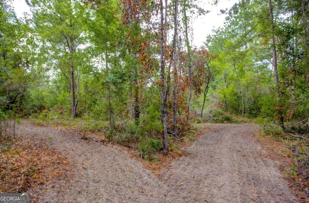 02 Big Horse Creek Road - Photo 1