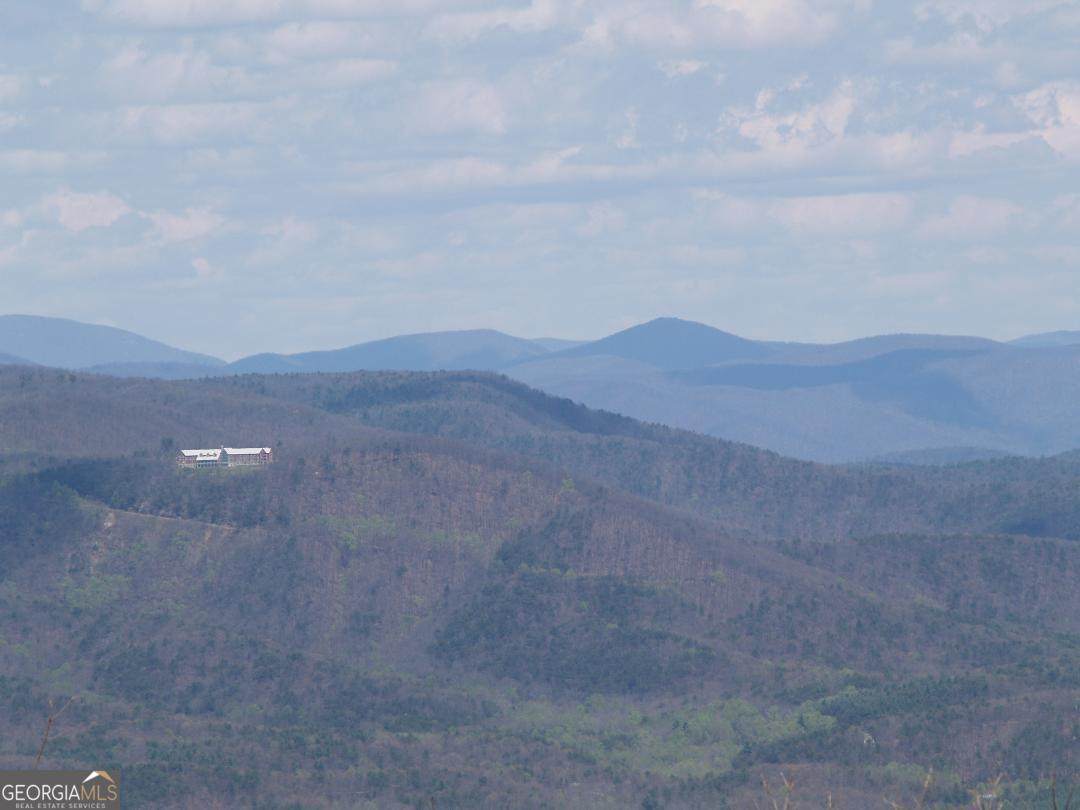 0 Lower Sassafras Parkway - Photo 1