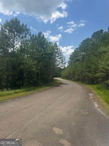 LTS 43 & 44 Reece Mountain Road - Photo 1