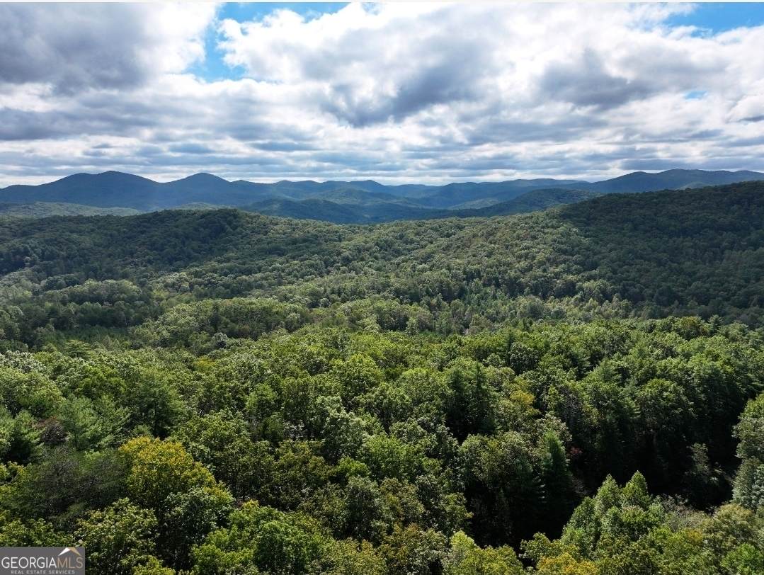 LOT 10 Papa Bear Path - Photo 1