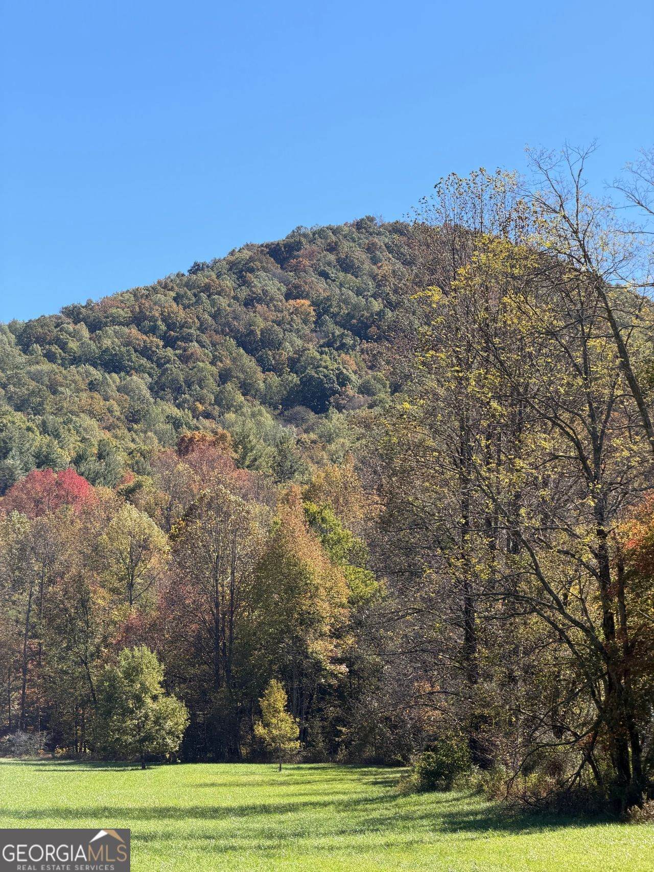 0 Old Bucktown Road - Photo 1