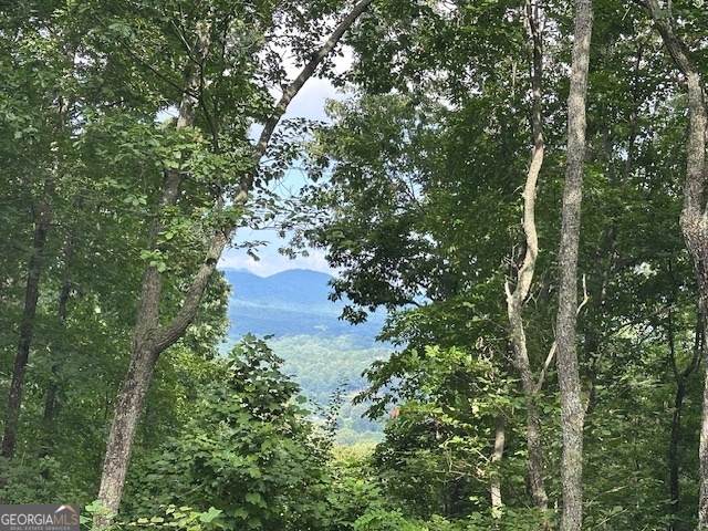 LT 64/65 Rocky Knob Estates - Photo 1