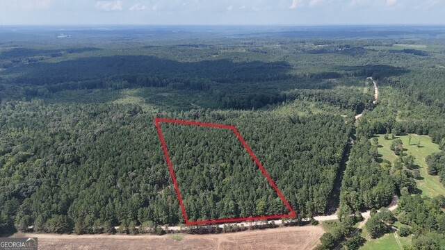 334 Oconee Forest Road - Photo 1