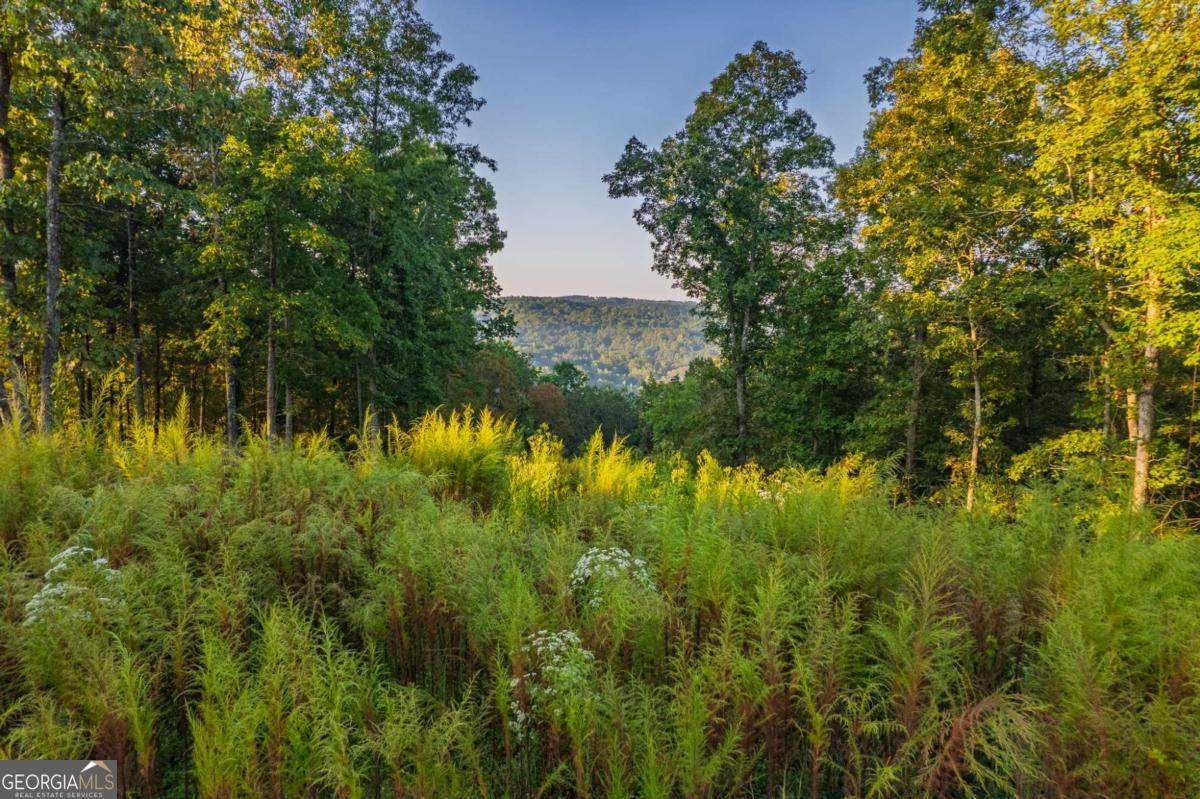 LOT 290 Anglers Ridge Road - Photo 1