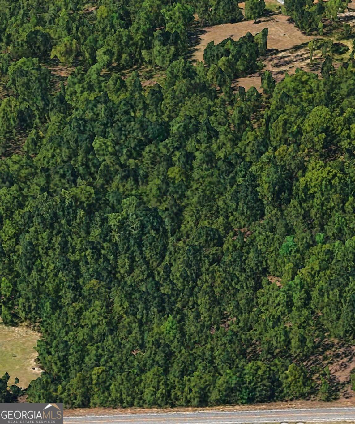 0 Ga Hwy 49 - Photo 1