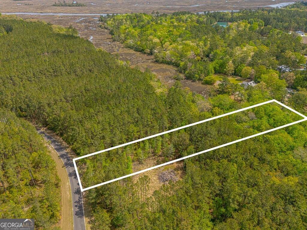 LOT 4 Waverly Lane - Photo 1