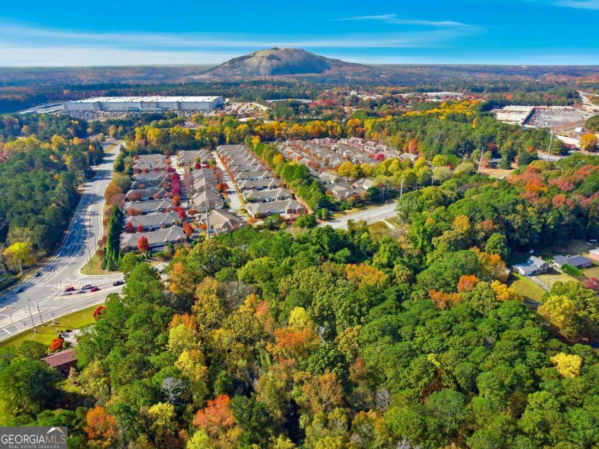 2234 Rockbridge Road - Photo 1