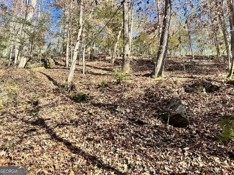 0 Corinth Church Road - Photo 1