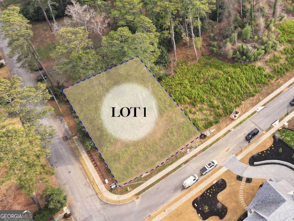 462 Emily Reed Lane - Photo 1