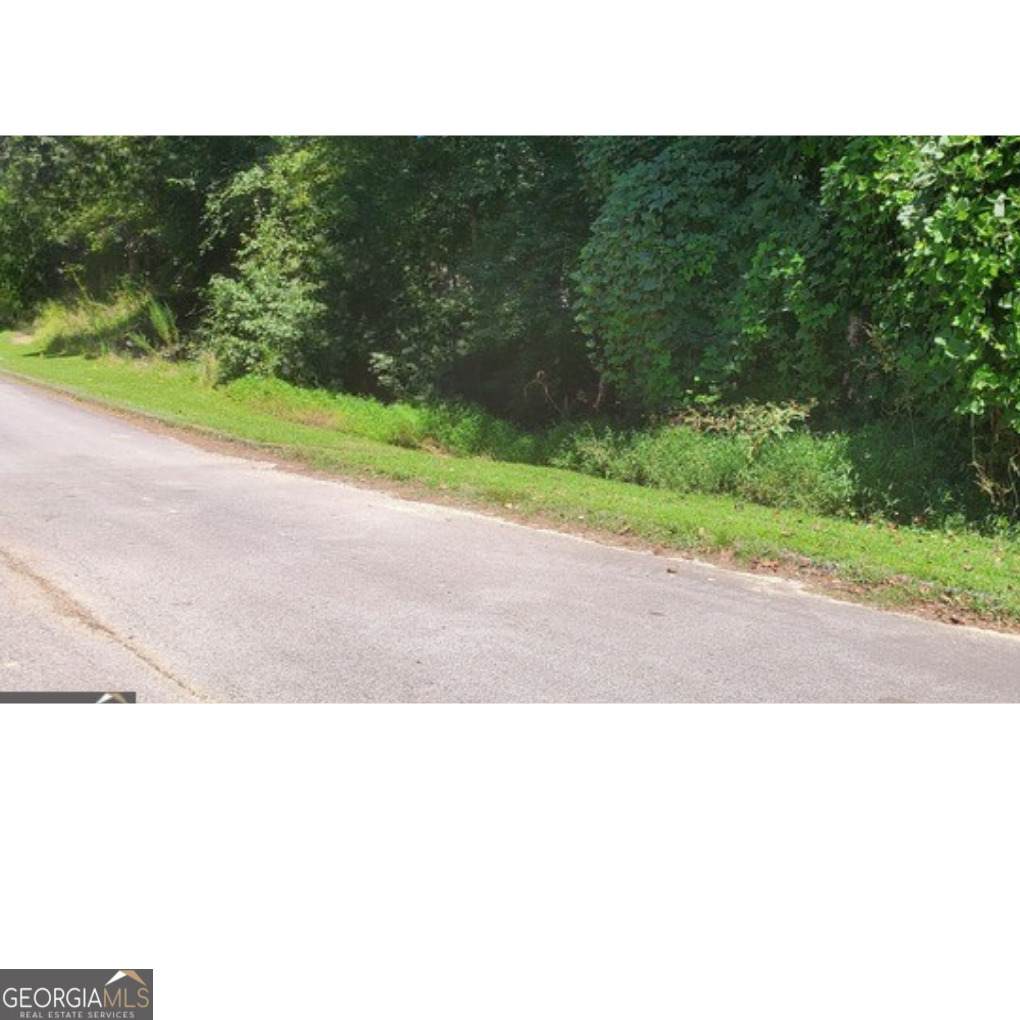 5049 Hidden Branch Drive - Photo 1