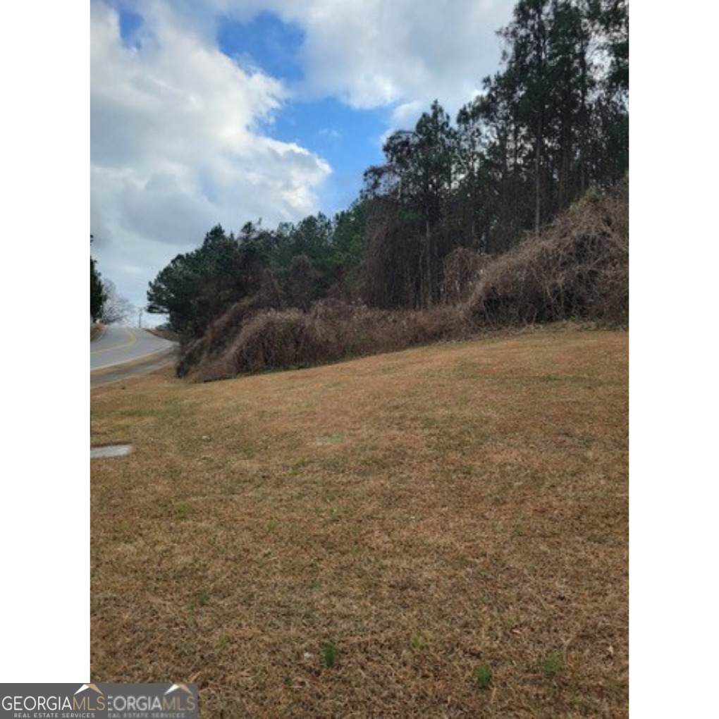 175 Old Peachtree Road - Photo 1