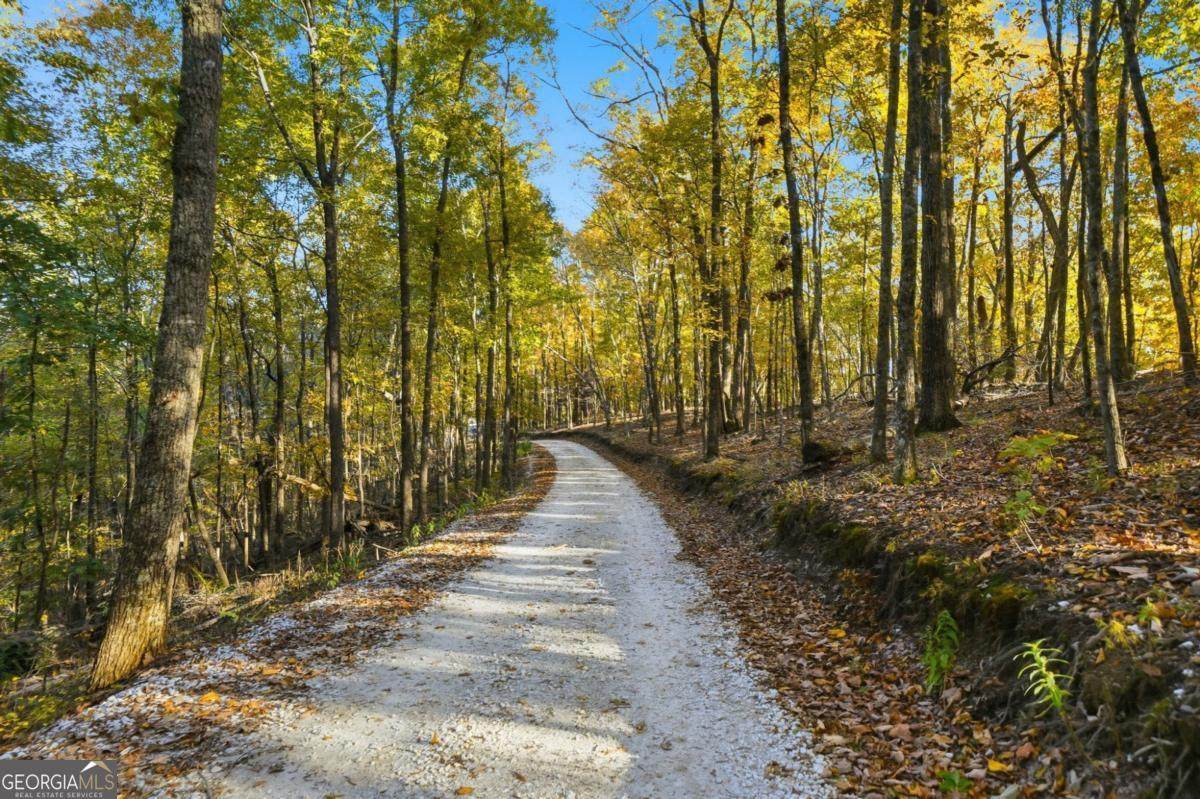 1500 Sunset Trail - Photo 1