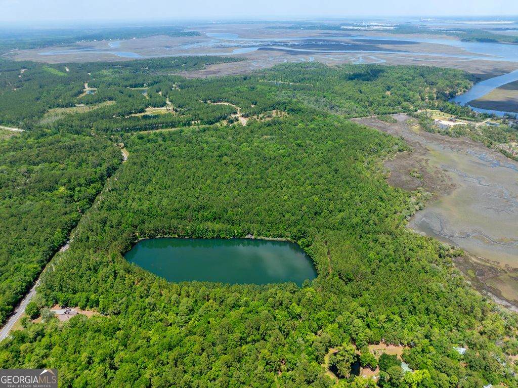0 21 Acres Dover Bluff Road - Photo 1