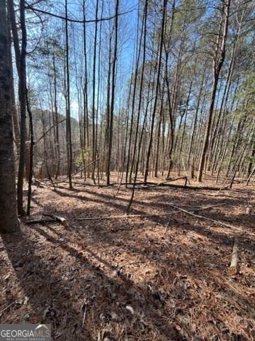LOT 36R Lakeview Lane - Photo 1