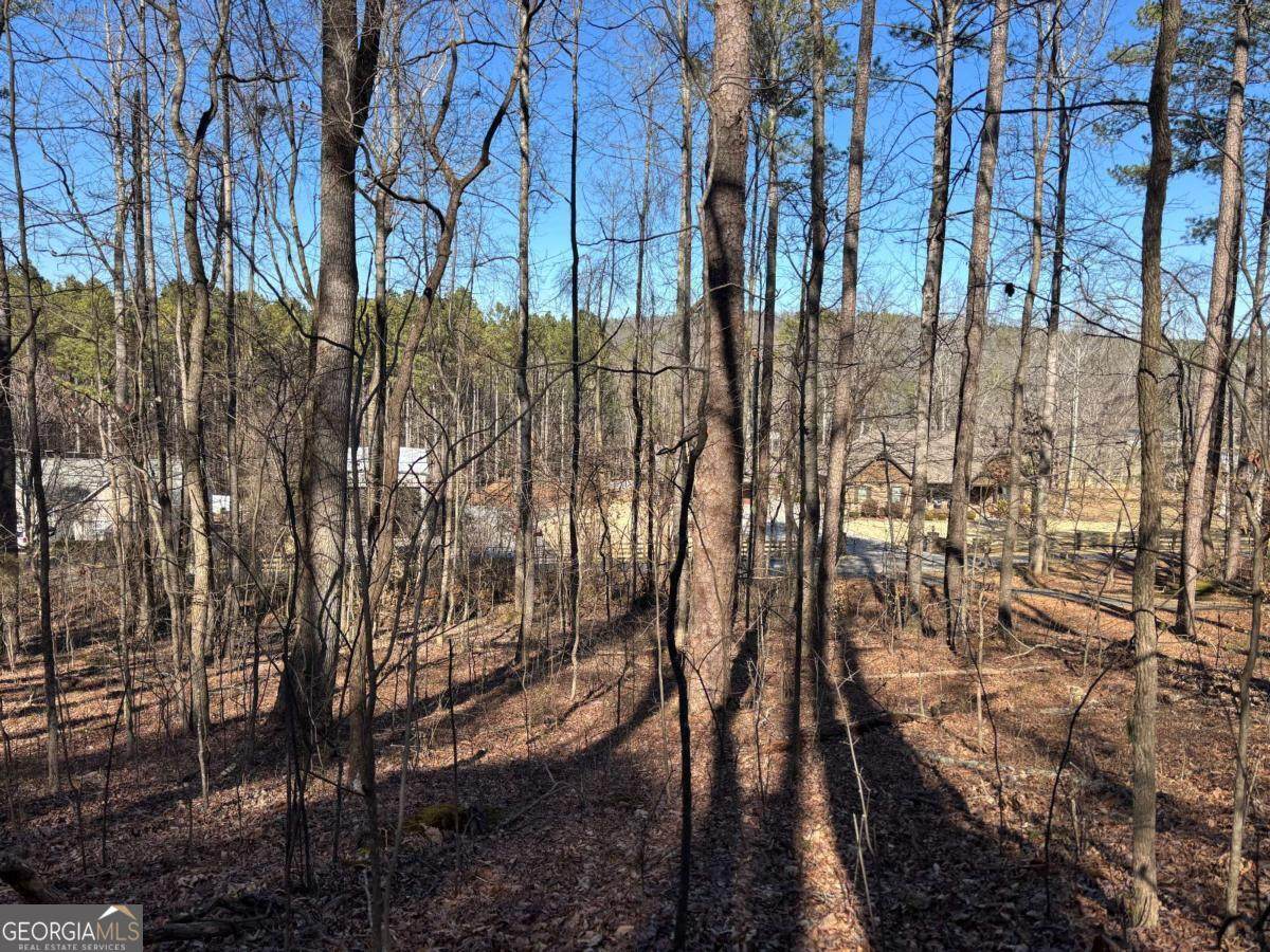 0 Gardner Springs Road - Photo 1