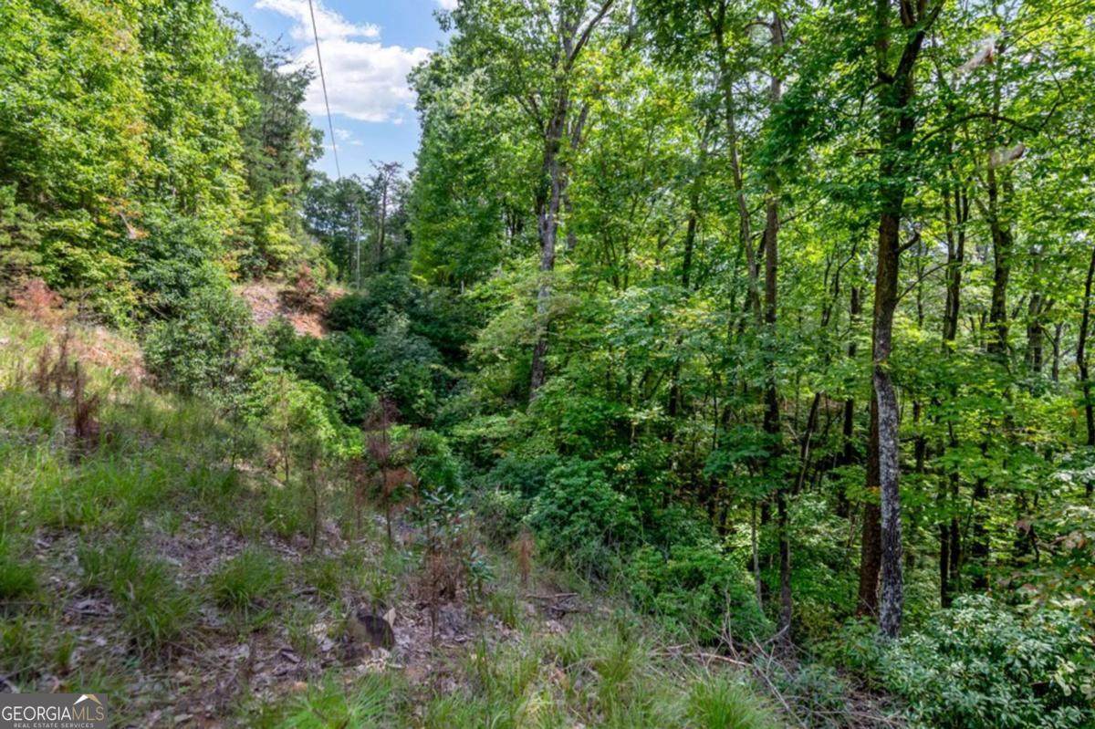 4.69 AC Rockwater Road - Photo 1