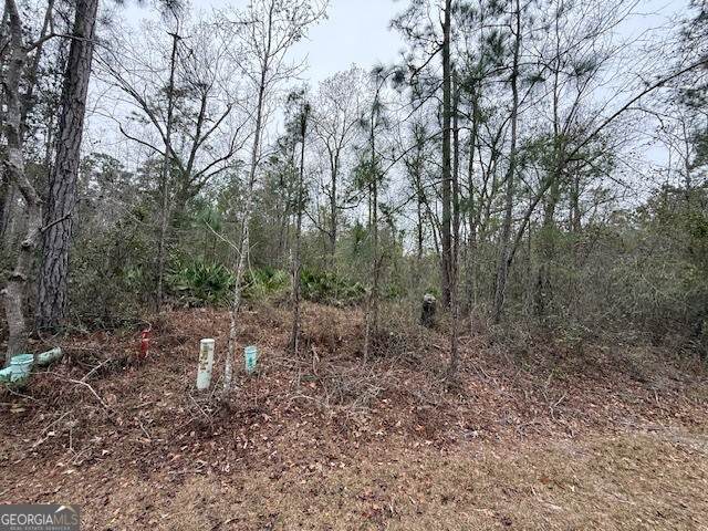V/L 104 Satilla River Landing - Photo 1