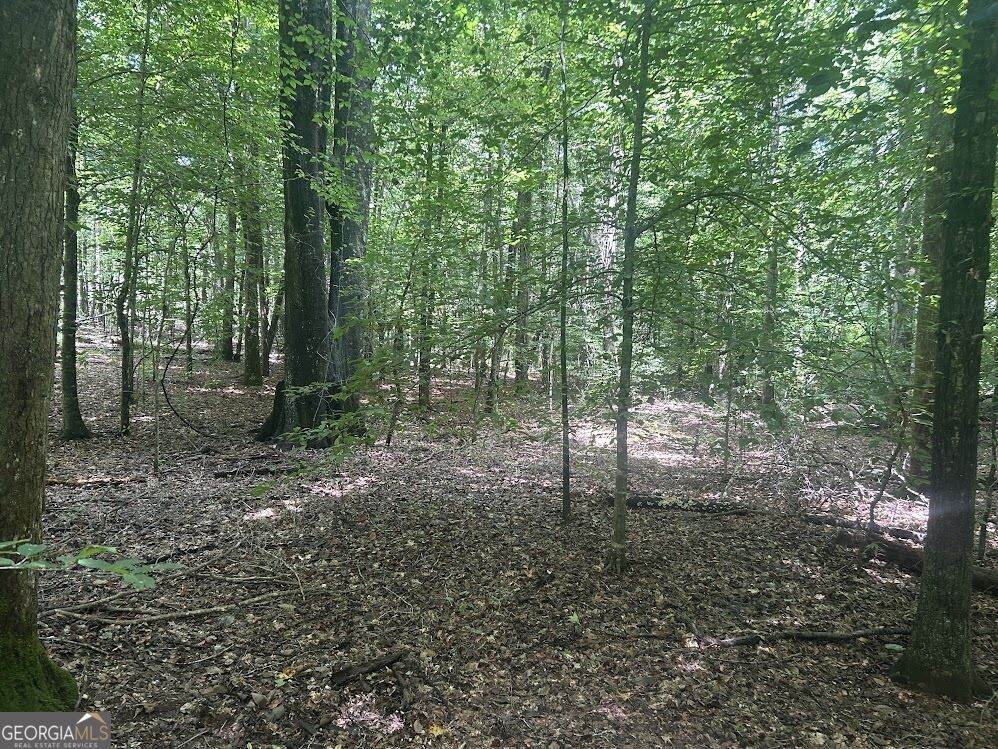 111 Riversong - Photo 1